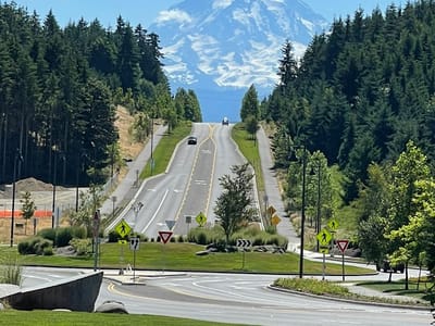 Caffé D’arte - Tehaleh Café