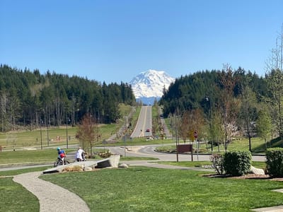 Caffé D’arte - Tehaleh Café