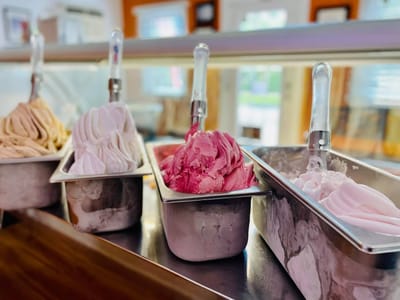 Caffè Gelato Bertini