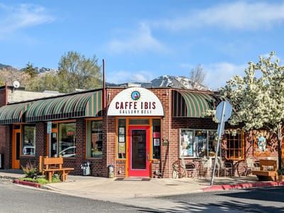 Caffe Ibis Gallery Café