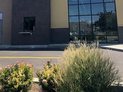 Caffeina Roasting Company - Overland