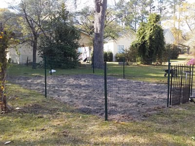 Calhoun Country Market