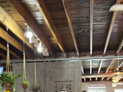 Camden’s Library Coffee House