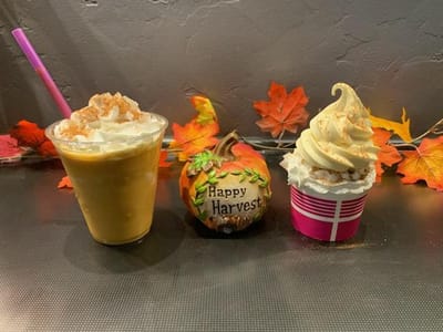 Cameez Ice Cream And Frozen Treats