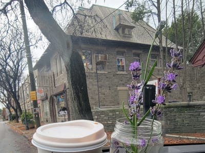 Camellia Coffee House