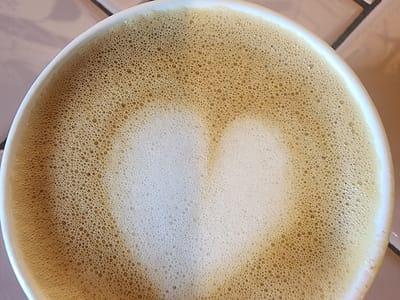 Camellia Coffee Roasters