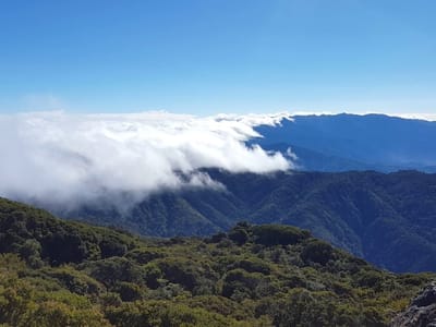 Camino Real Coffee Roasters