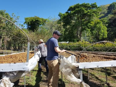 Camino Real Coffee Roasters