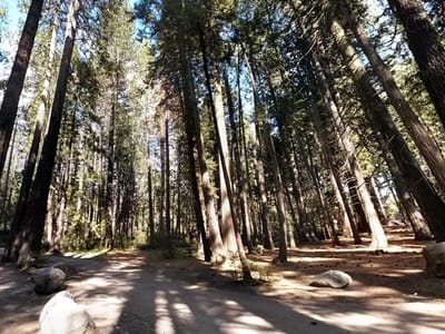 Camp Mather General Store