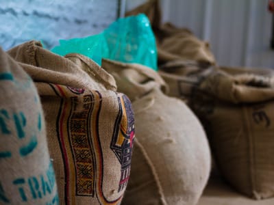 Canopy Coffee Roasters