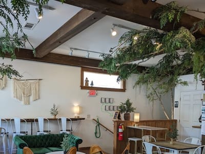 Canopy + the Roots Coffee