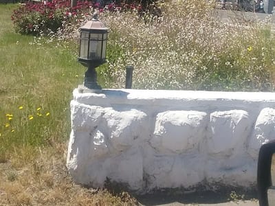 CapHe (Raw Food Cafe)