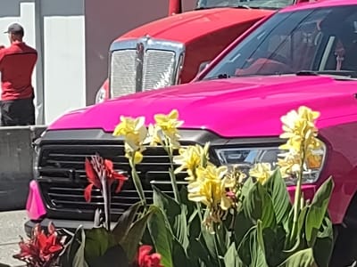 Capparelli’s Espresso