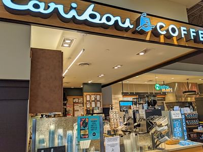 Caribou Coffee