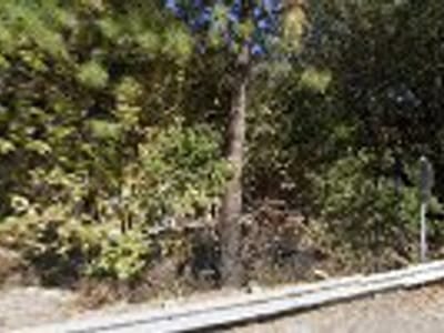 Caribou Crossroads RV Park Café