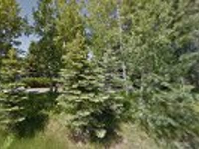 Carreños Cafe & Grill