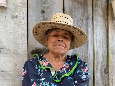 Casa Cafetzin Coffee Roasters