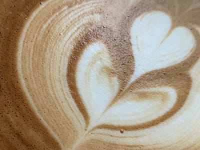 Case Study Coffee Roasters