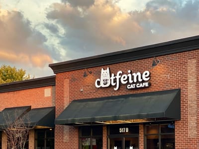 Catfeine Cat Cafe