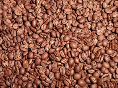 Cathedral Roast Whole Bean Coffee