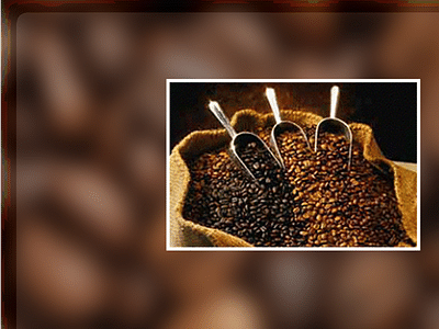 Cavallini Coffee A Brand of Coffee by Globex America