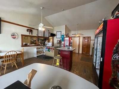 Center Harbour Bay Gulls