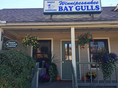 Center Harbour Bay Gulls