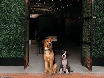 Ceremony Coffee Bethesda Crescent