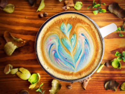 CFS Coffee Winter Park