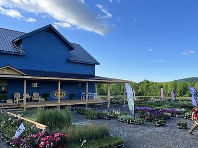 Champlain Peony Company