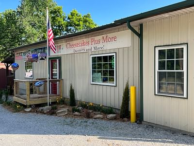 Cheesecakes Plus More