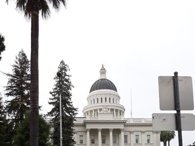 Chicory Coffee & Tea