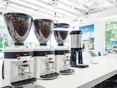 Chocolate Fish Coffee Roasters