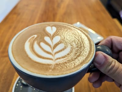 Chocolate Fish Coffee Roasters