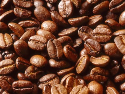 Chocolate Moose Coffees