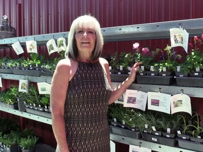 Church Street Market