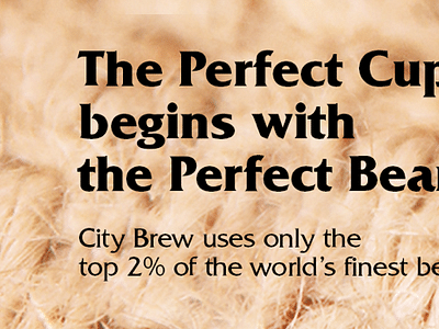 City Brew Coffee