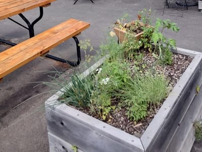 Classic Provisions Fine Food & Gourmets