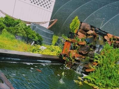 Clay's Garden Center