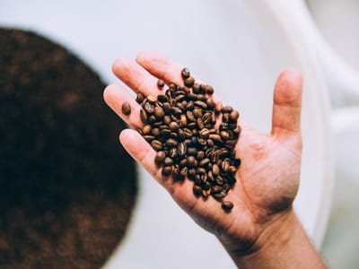 Clear Lake Coffee Roasters