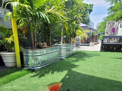 Cleopatra Royal Coffee