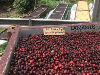 Coachella Valley Coffee