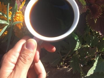 Coal Creek Coffee Downtown