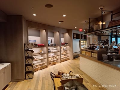 Coco and the Director