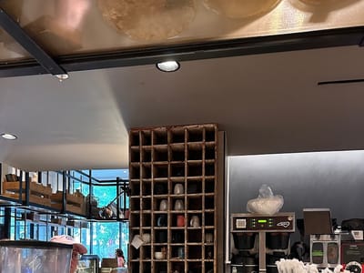 Coco and the Director