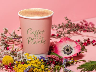 Coffee and Plants
