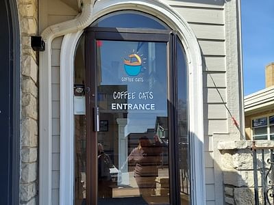 Coffee Cats Cafe