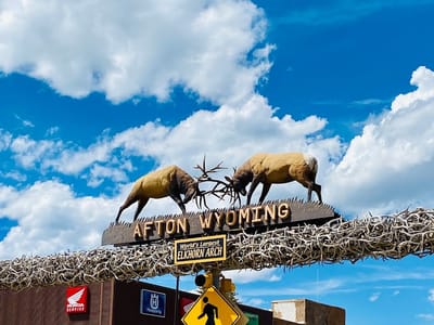 Coffee Cow Cafe & Patisserie