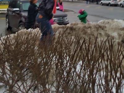 Coffee Culture Cafe & Eatery