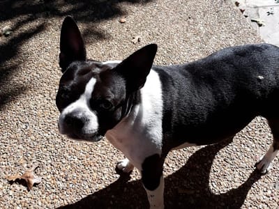 Coffee Gallery & Dessert Bar